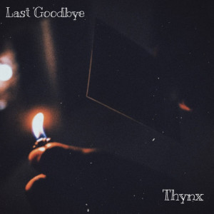 Album Last Goodbye from Thynx