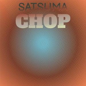 Various Artists的專輯Satsuma Chop