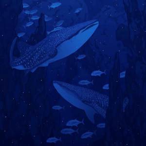 Swoozy的專輯Lunar Pools