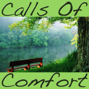 收聽Nature Wonders的Comfort歌詞歌曲