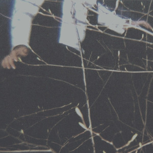 Album The Wilderness oleh Cemeteries