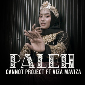 Listen to Paleh song with lyrics from Cannoct Project