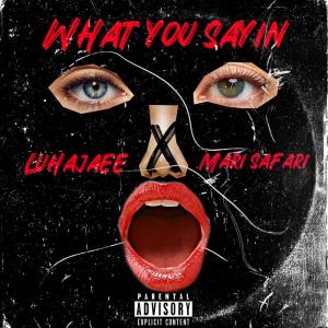 ดาวน์โหลดและฟังเพลง What You Sayin (Explicit) พร้อมเนื้อเพลงจาก LuhAjaee