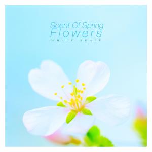 Album Scent Of Spring Flowers oleh Hong Eunyeong
