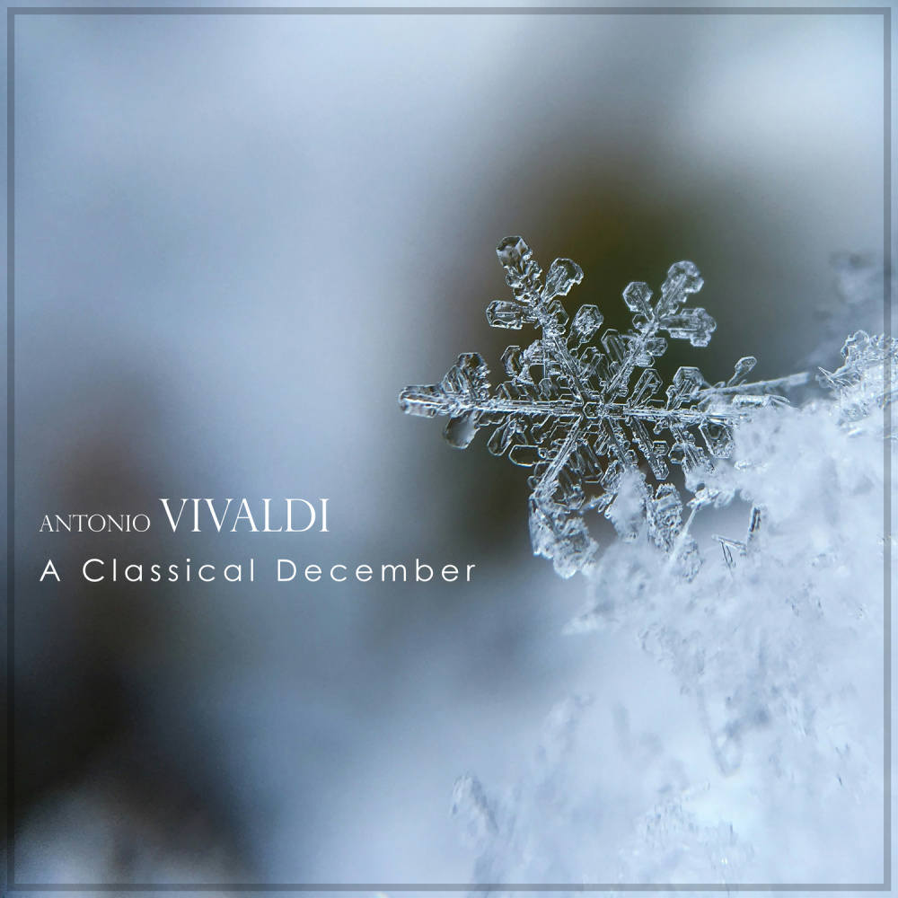 Vivaldi: Cello Sonata in E Minor, RV 40: IV. Allegro
