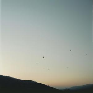 Album Won't You Say (Sander W. Remix) from Anton Kling