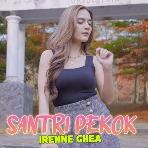 Dengarkan Santri Pekok lagu dari Irenne Ghea dengan lirik