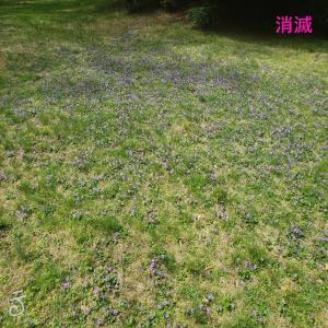 收聽je1ku的squim 2-1歌詞歌曲