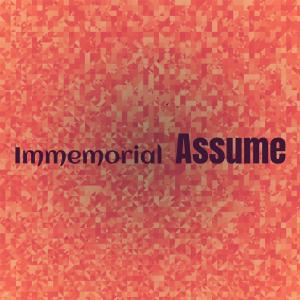 Various Artists的專輯Immemorial Assume