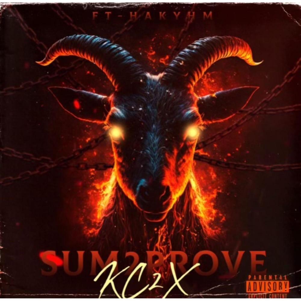 SUM 2 PROVE (feat. hakyhm) (Explicit)