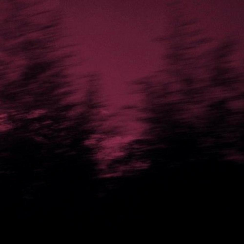 VAMP (feat. lil faradeyyy)