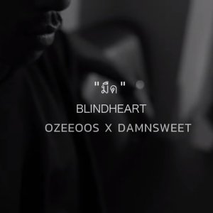 ดาวน์โหลดและฟังเพลง มืด (Blindheart) Feat. DAMNSWEET พร้อมเนื้อเพลงจาก OZEEOOS