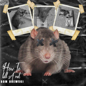 Album How to Kill a Rat (Explicit) from BDM Drewski