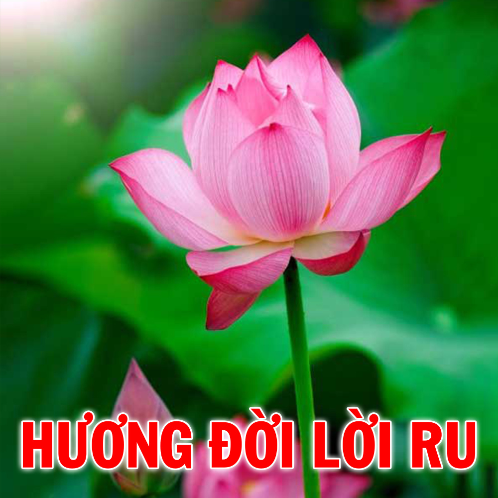 Em mong trời chóng sáng