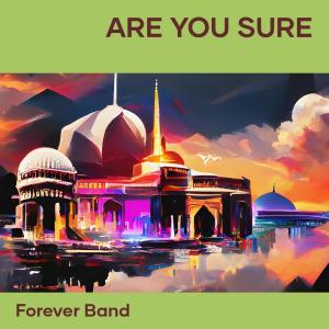 Album Are You Sure from Forever Band