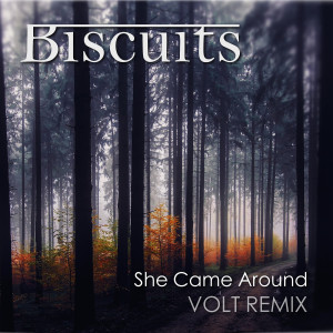 อัลบัม She Came Around (Volt Remix) ศิลปิน Biscuits