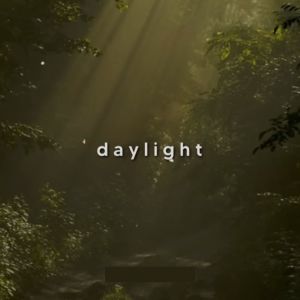 Dengarkan Daylight (Slowed) lagu dari DJ NESTOR dengan lirik