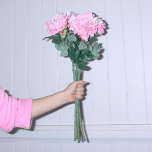 Listen to I Really Like You song with lyrics from jadu jadu