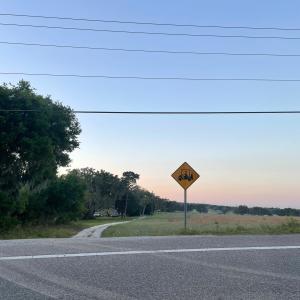 ดาวน์โหลดและฟังเพลง 20 1/2 พร้อมเนื้อเพลงจาก Kaydence May