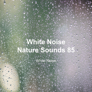 Album White Noise 85 (Rain Sounds, Bonfire Sound, Baby Sleep, Deep Sleep) oleh White Noise