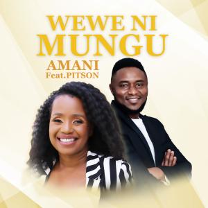 Album Wewe Ni Mungu (feat. Pitson) from Amani