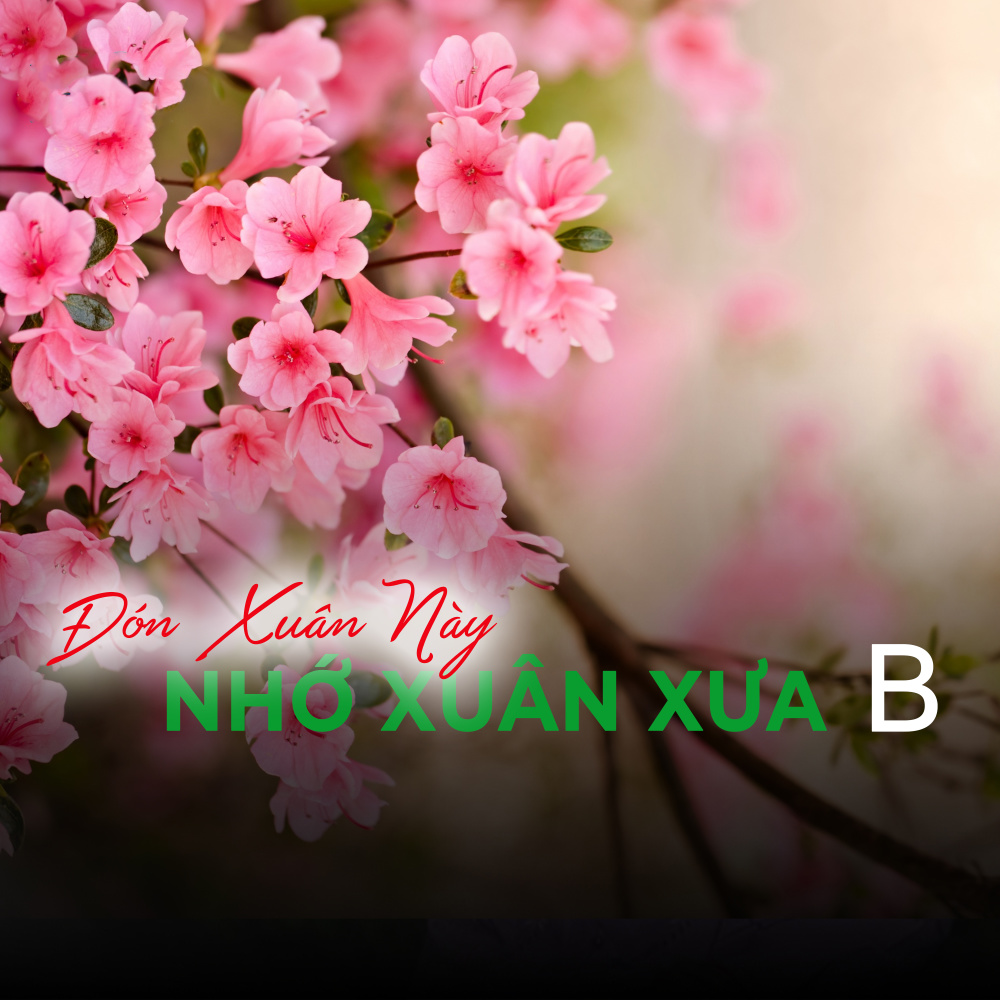 Trái khổ qua