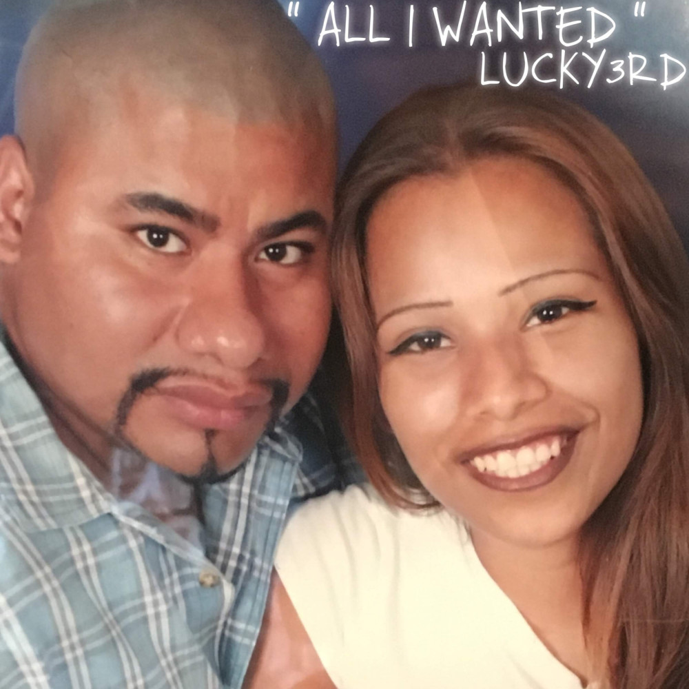 All I Wanted (Explicit) (其他)