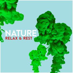 ดาวน์โหลดและฟังเพลง Forest Water Birds พร้อมเนื้อเพลงจาก Outside Broadcast Recordings