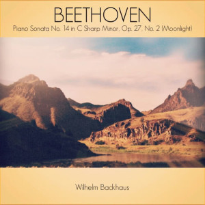 收聽Wilhelm Backhaus的Piano Sonata No. 14 in C Sharp Minor, Op. 27, No. 2: Adagio sostenuto歌詞歌曲