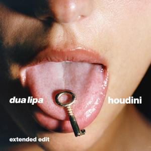 อัลบัม Houdini (Extended Edit) ศิลปิน Dua Lipa