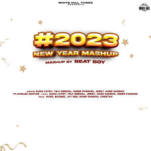 Album New Year Mashup 2023 from 