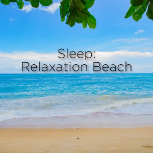Dengarkan Relaxing Ocean Sounds For Sleep lagu dari Ocean Sounds dengan lirik