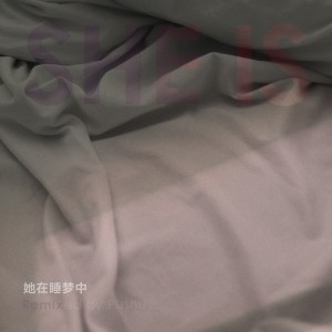 Dengarkan 她在睡梦中remix lagu dari Pu Shu dengan lirik