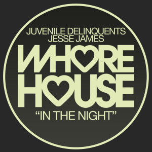 Album In The Night from Juvenile Delinquents