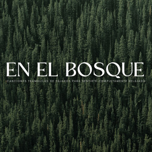 收聽Ruido y Naturaleza的En El Bosque Verdadero歌詞歌曲
