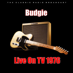 ดาวน์โหลดและฟังเพลง Hot As A Docker's Armpit พร้อมเนื้อเพลงจาก Budgie