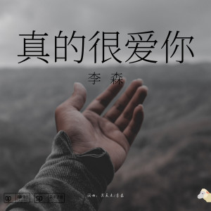 收聽李森的真的很愛你歌詞歌曲