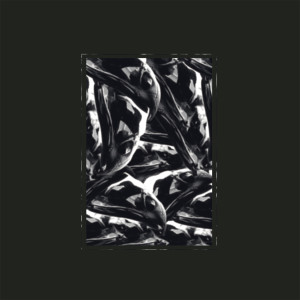 收聽Paperi T的Lamia歌詞歌曲