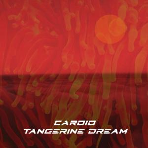 Dengarkan Tangerine Dream lagu dari Cardio dengan lirik