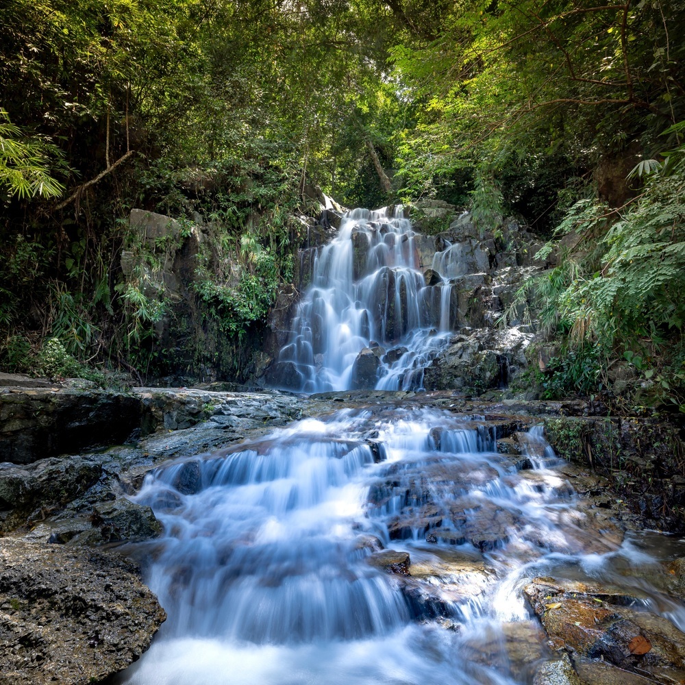 Ecos del Corazón
