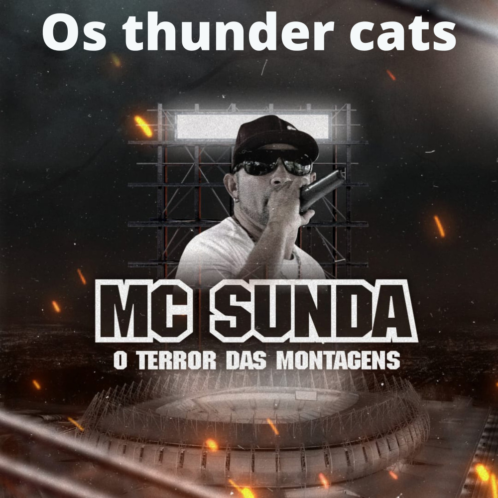Os Thunder Cats