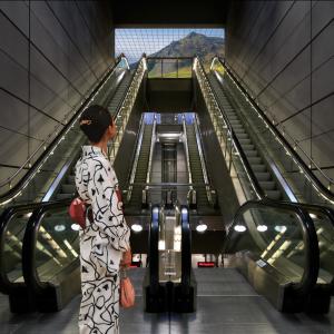 貓 シ Corp.的專輯Palm Mall Mars