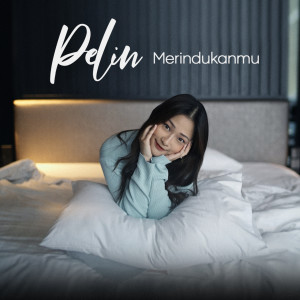 Listen to Merindukanmu song with lyrics from Pelin
