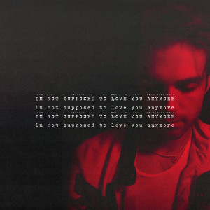 Album I'm Not Supposed to Love You Anymore oleh Conor Matthews