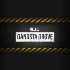 Listen to Gangsta Grove (Original Mix) song with lyrics from MelloJ