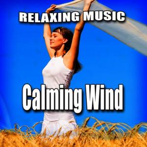 ดาวน์โหลดและฟังเพลง Windswept Thoughts Song with Nature Sound พร้อมเนื้อเพลงจาก Relaxing Music