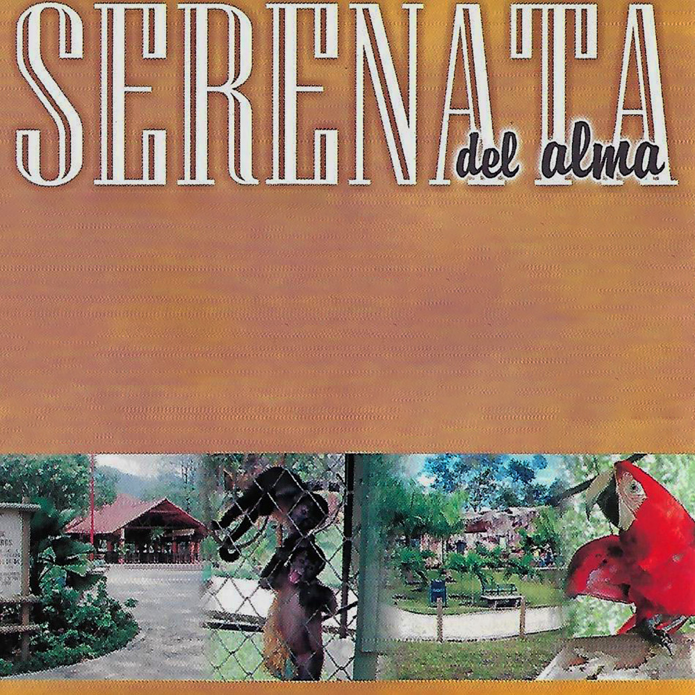 Cómo Será Mi Vejez