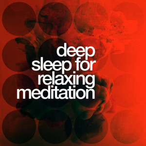 收聽Deep Sleep Meditation的Twilight Dreamer歌詞歌曲