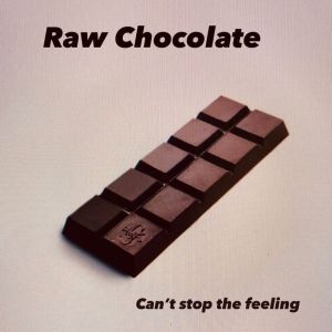 Listen to Can't stop the feeling (original) song with lyrics from Raw chocolate