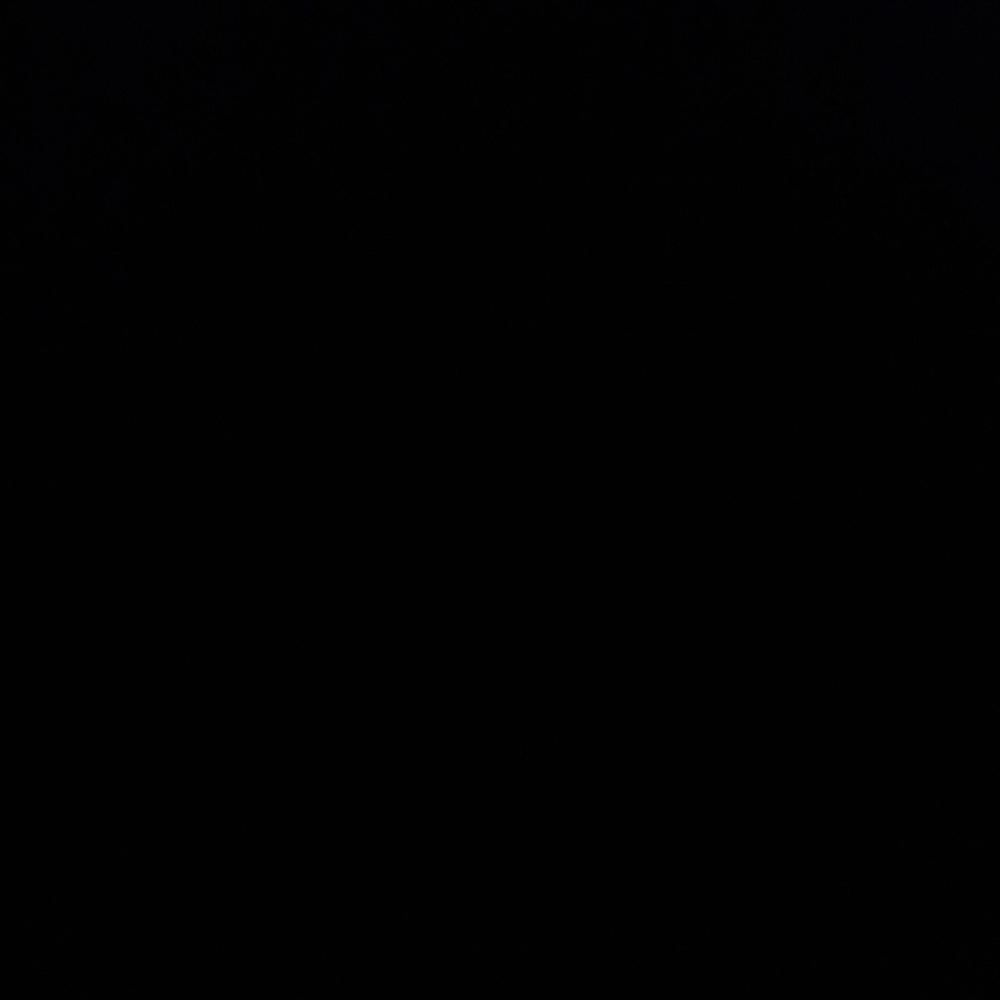 all black (Explicit)